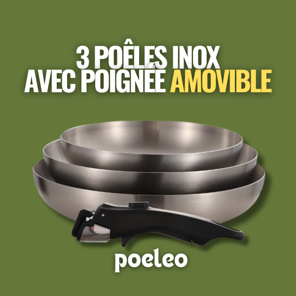 poignee-amovible-inox
