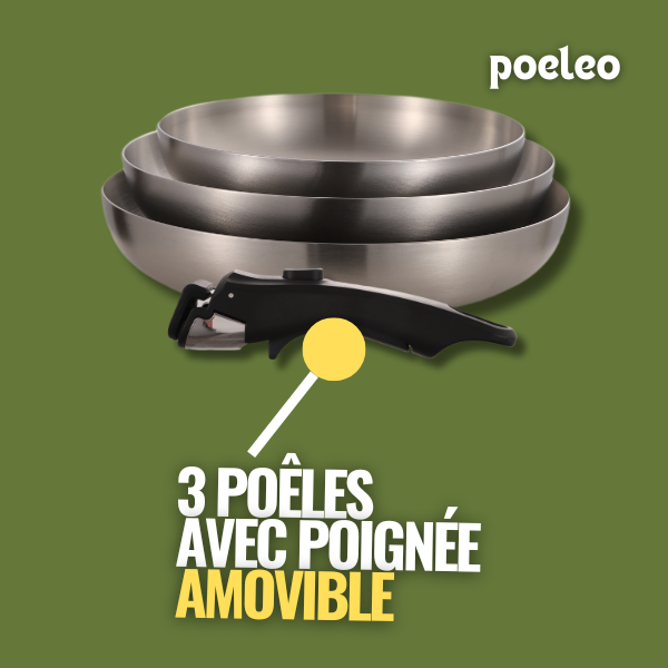 poignee-amovible-poelesinox