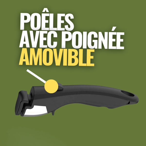 poignee-amovible
