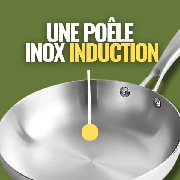 une-poele-en-inox