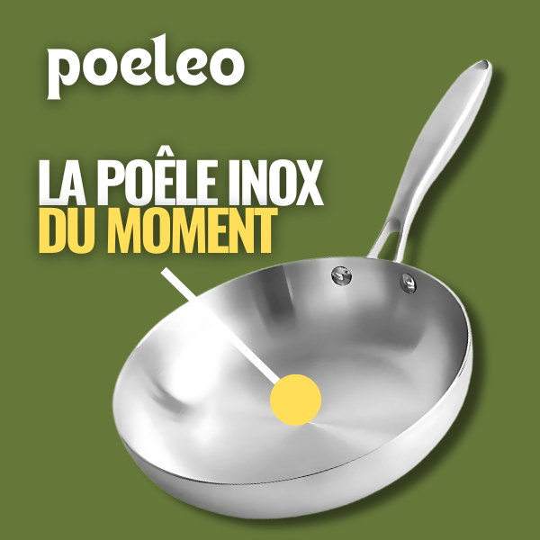 poele-alternative