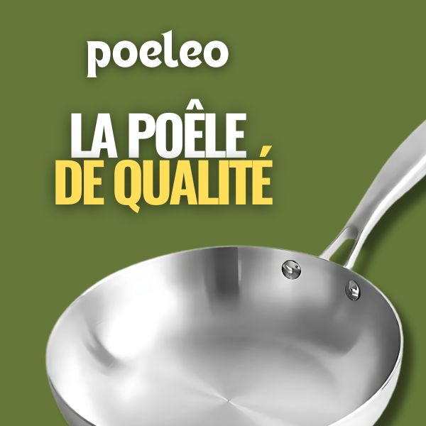 marque-poeleo-poeleinox